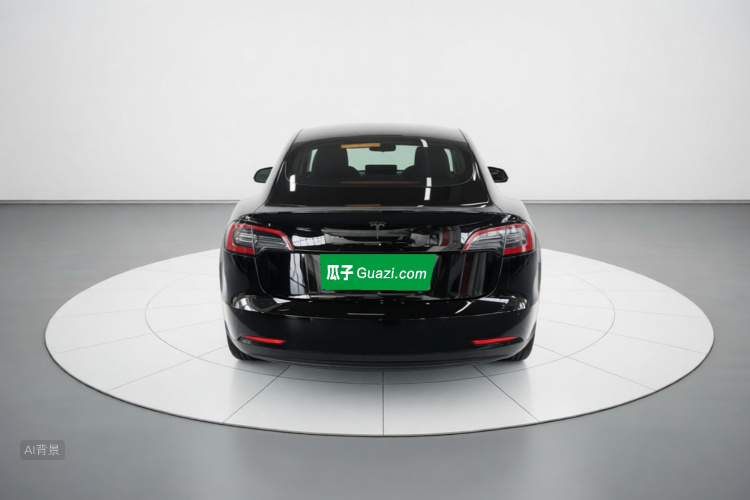 Tesla Model 3 2021 car image #6