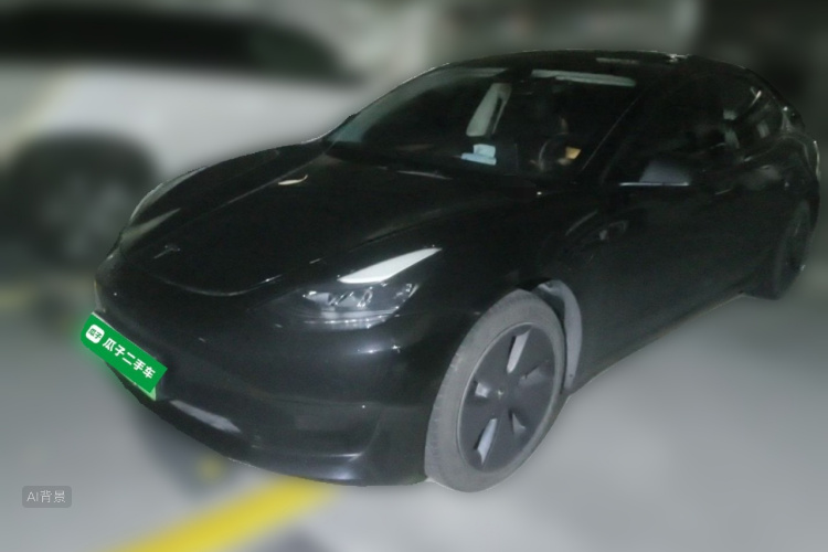 Tesla Model 3 2022 immagine di auto #2