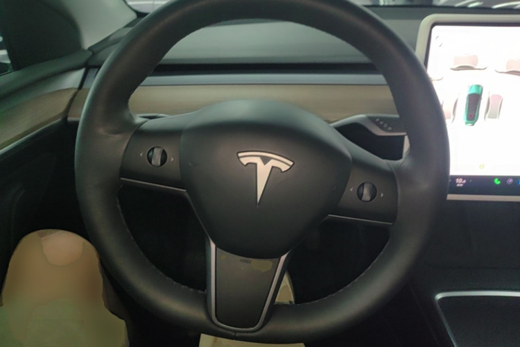 Tesla Model Y 2021 #11 Tesla Model Y 2021 car image #11