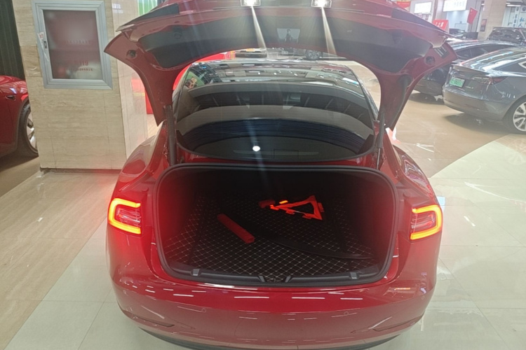 Tesla Model 3 2021 #21 Tesla Model 3 2021 immagine di auto #21