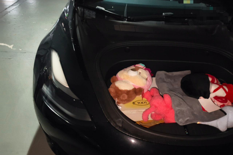 Tesla Model 3 2021 #28 Tesla Model 3 2021 car image #28