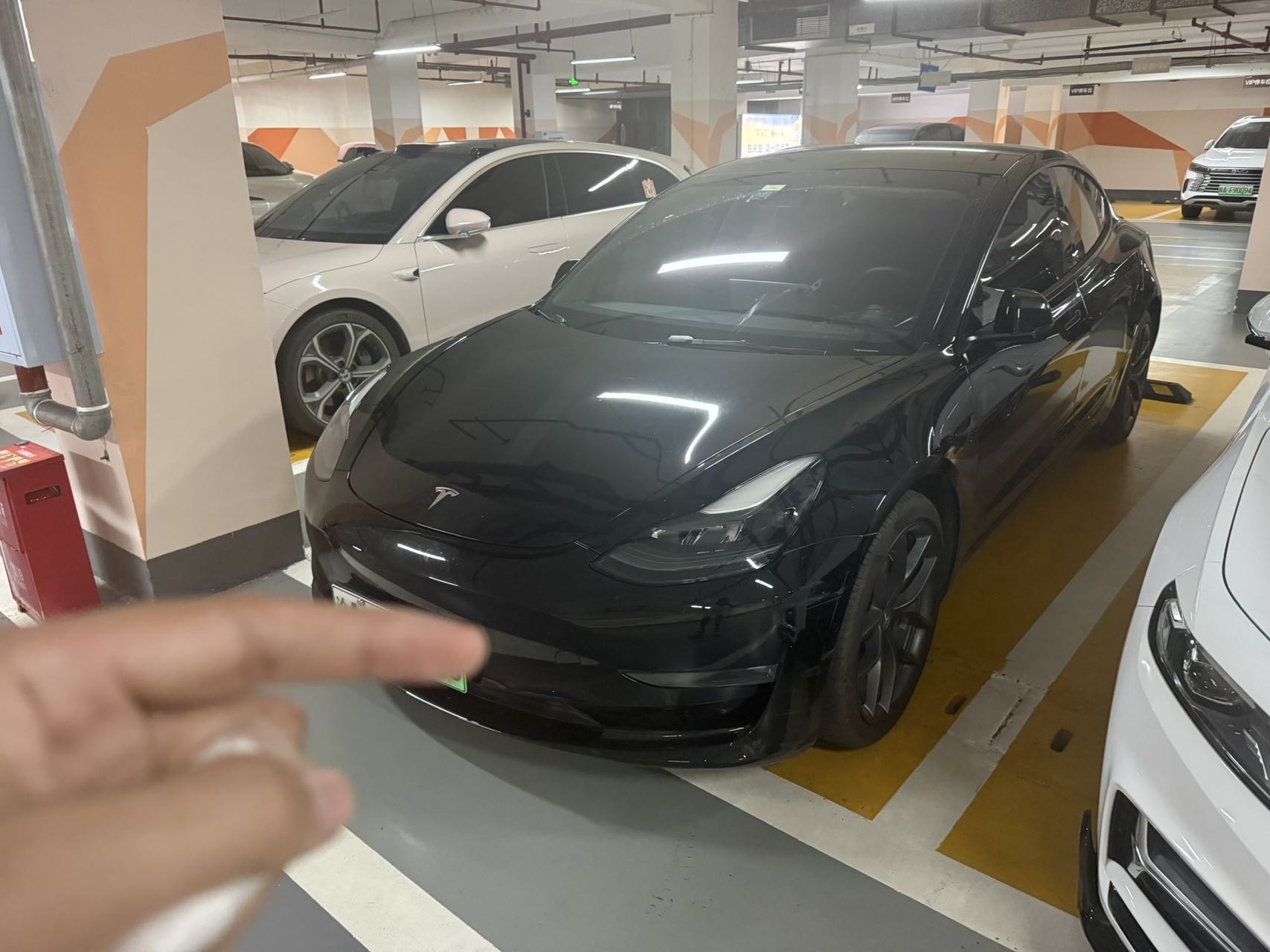 Tesla Model 3 2021 car image 