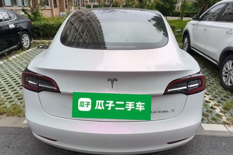 Tesla Model 3 2021 car image #6