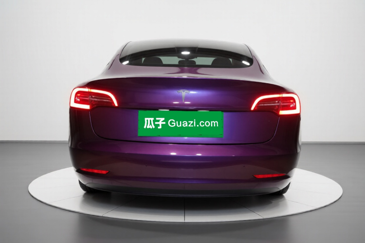 Tesla Model 3 2020 car image #6