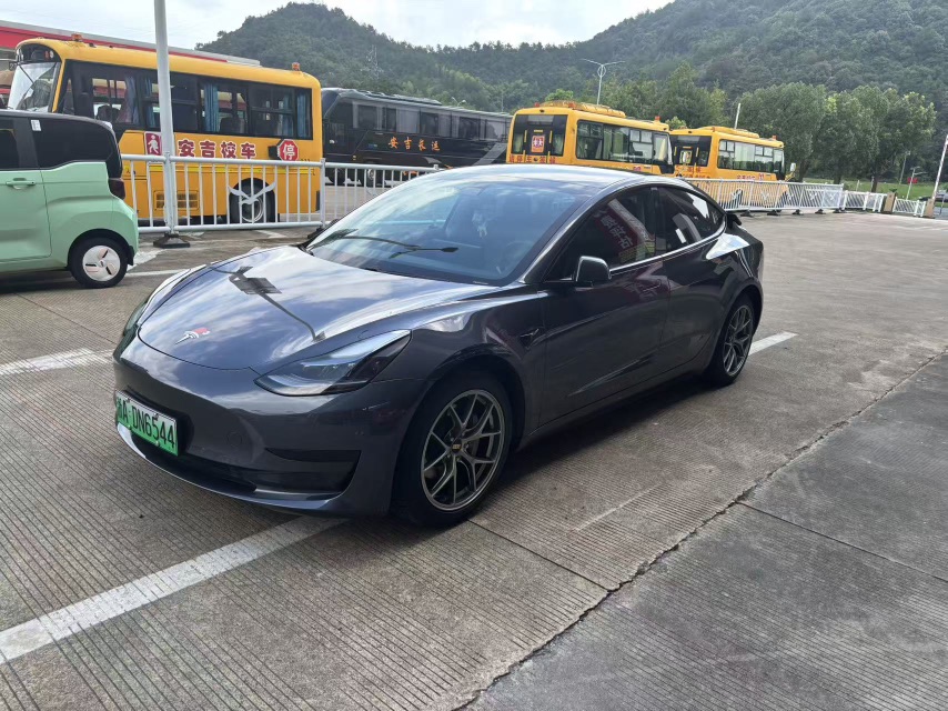 Tesla Model 3 2021 car image #6