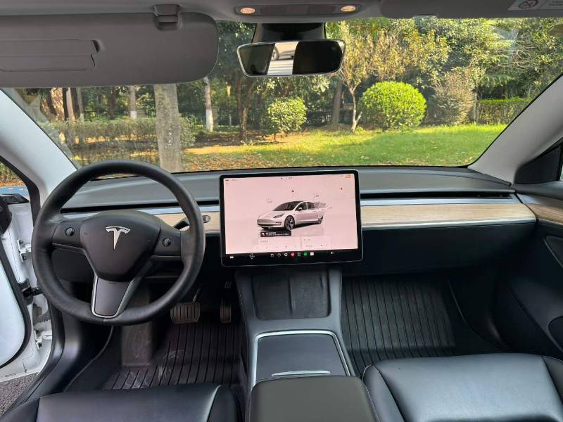 Tesla Model 3 2022 #6 Tesla Model 3 2022 car image #6