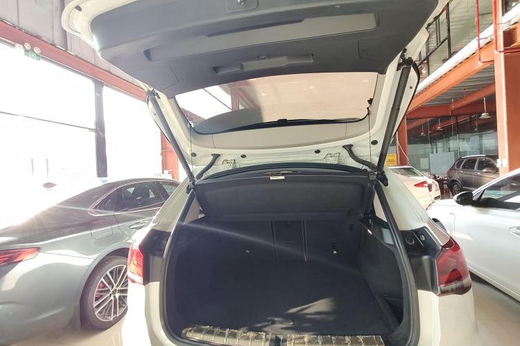 BMW X1 2019 imagem de carro #19