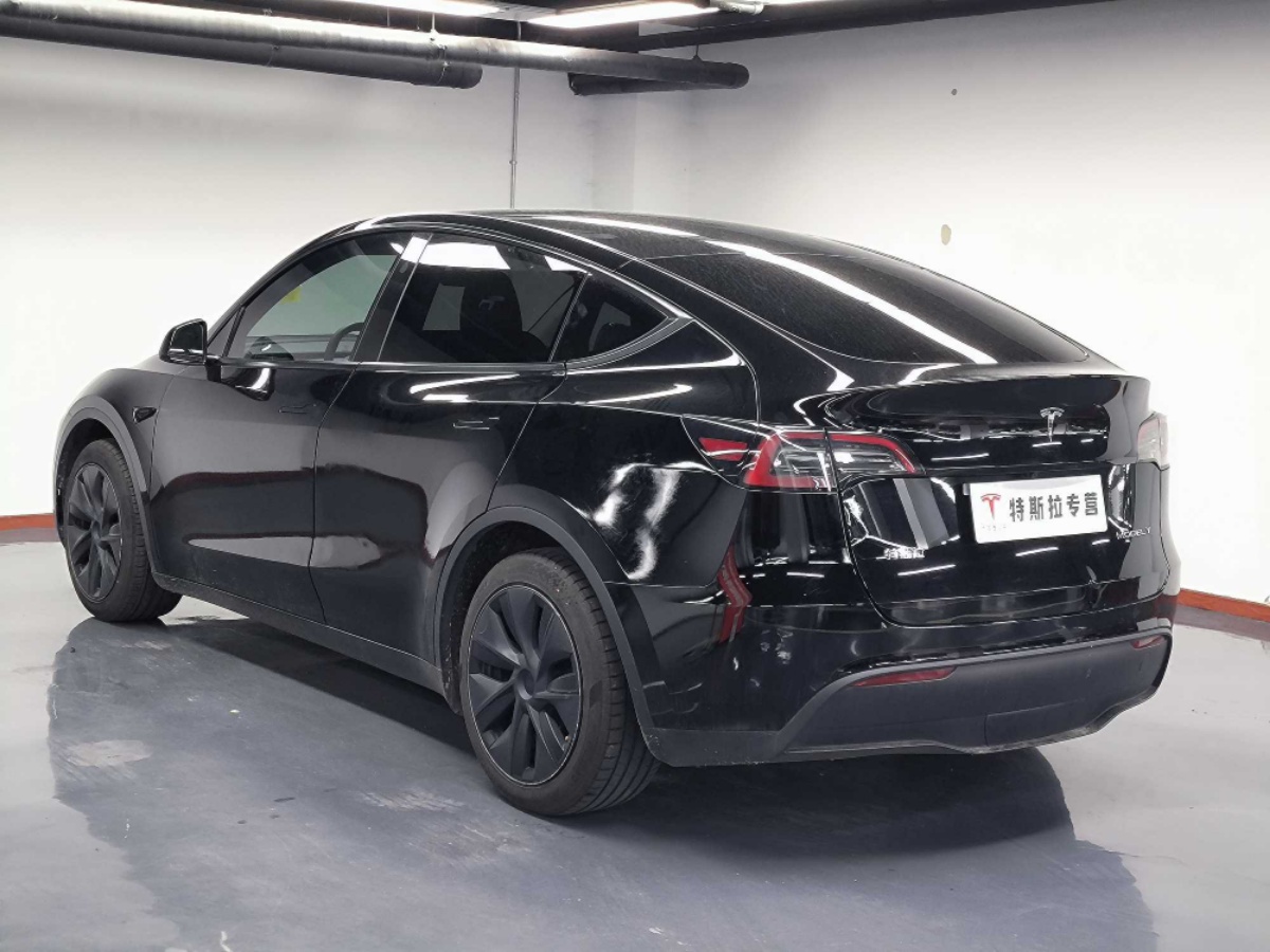 Tesla Model Y 2024 car image #10