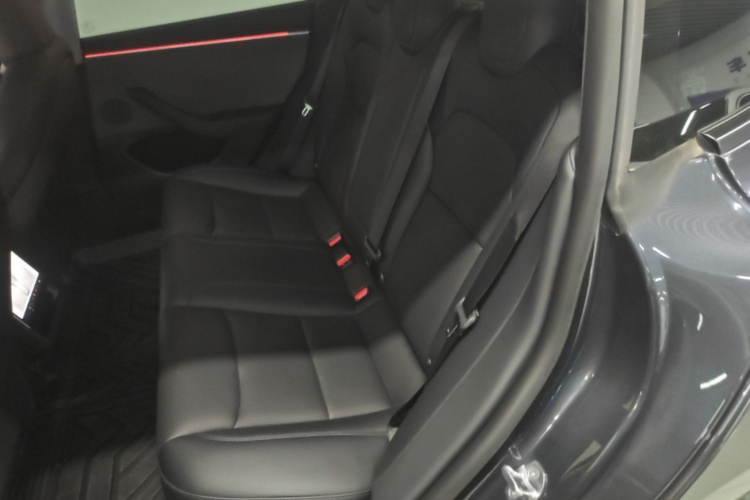 Tesla Model 3 2024 #17 Tesla Model 3 2024 car image #17