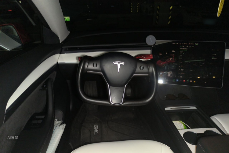 Tesla Model 3 2021 car image #12