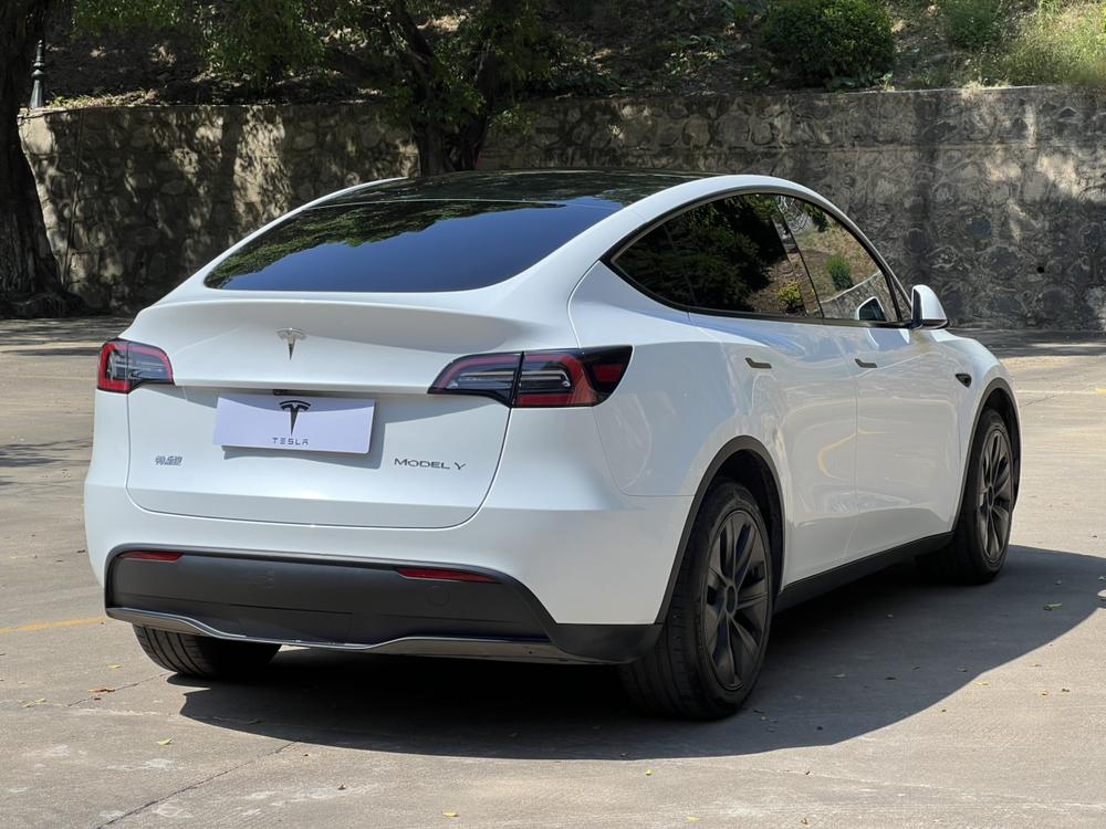Tesla Model Y 2024 #6 Tesla Model Y 2024 car image #6