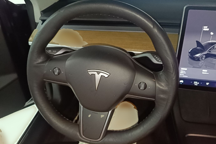 Tesla Model 3 2022 #11 Tesla Model 3 2022 car image #11