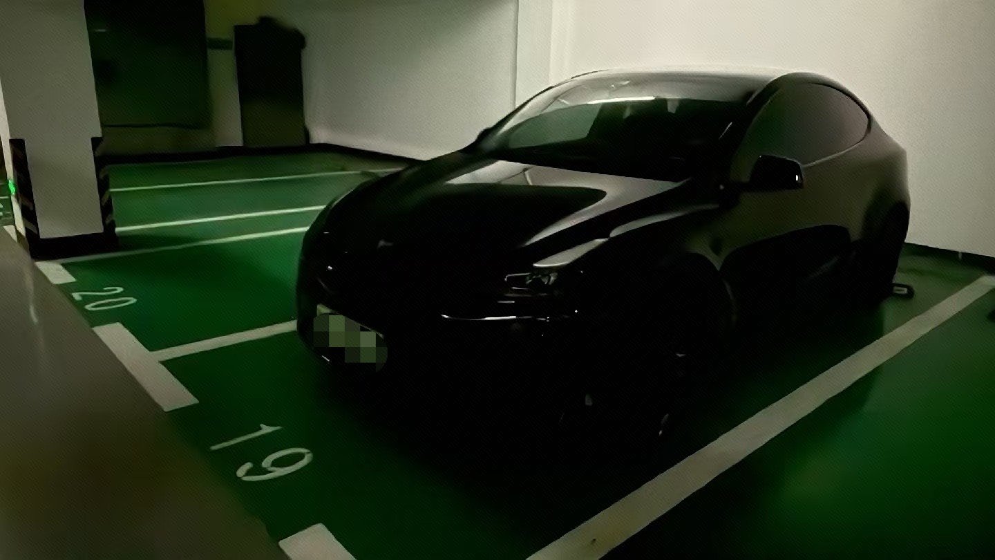 Tesla Model Y 2023 Tesla Model Y 2023 car image