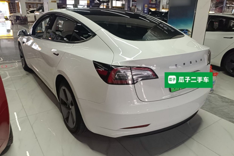 Tesla Model 3 2021 car image #5