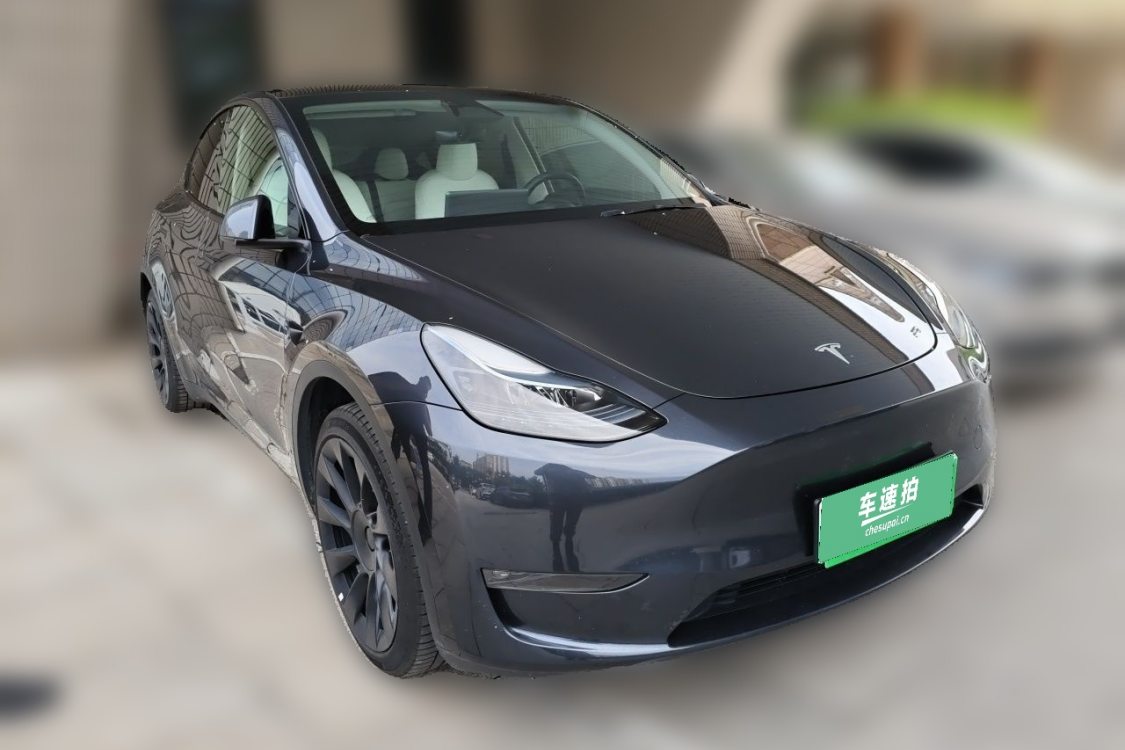 Tesla Model Y 2024 car image #2