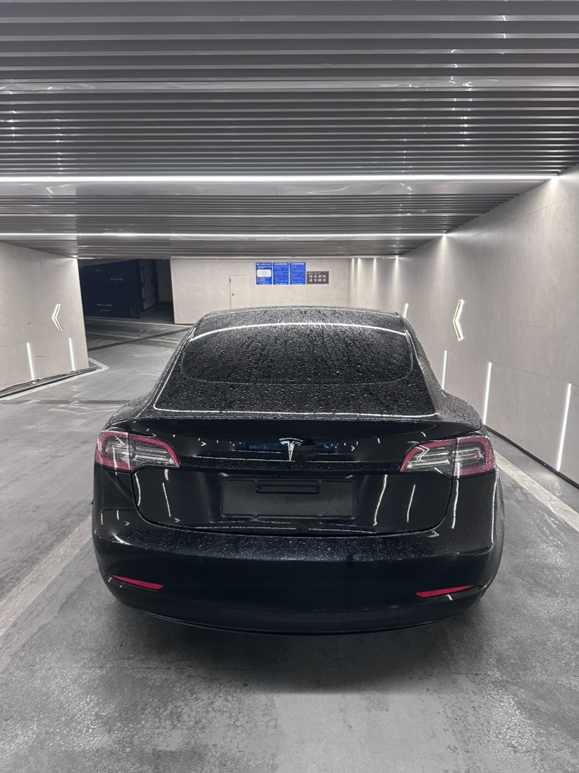 Tesla Model 3 2023 immagine di auto #3
