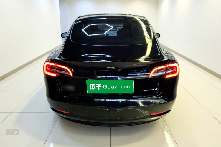 Tesla Model 3 2023 car image #6
