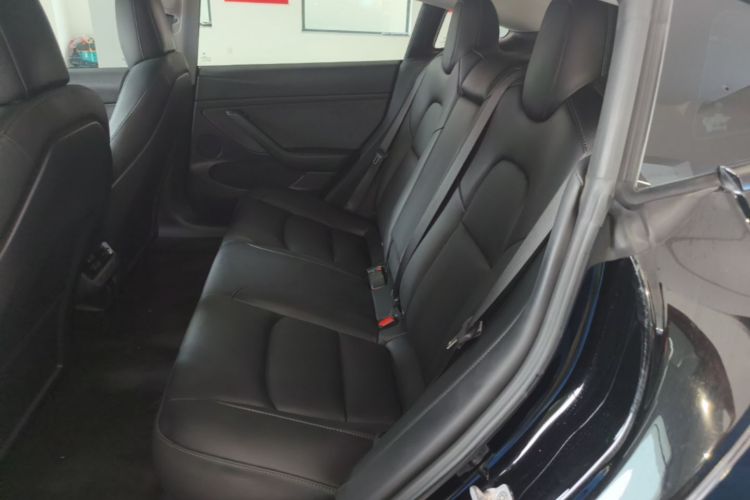 Tesla Model 3 2023 car image #17
