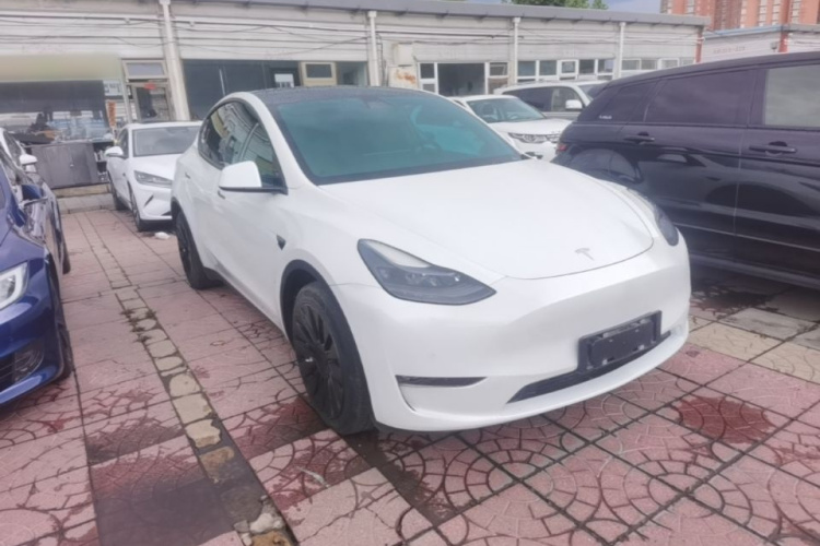 Tesla Model Y 2021 car image #4