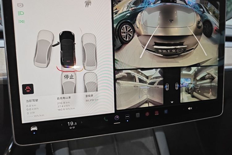 Tesla Model Y 2022 car image #13