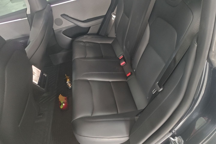 Tesla Model 3 2024 #17 Tesla Model 3 2024 car image #17