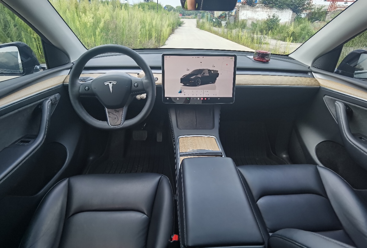 Tesla Model Y 2022 car image #8