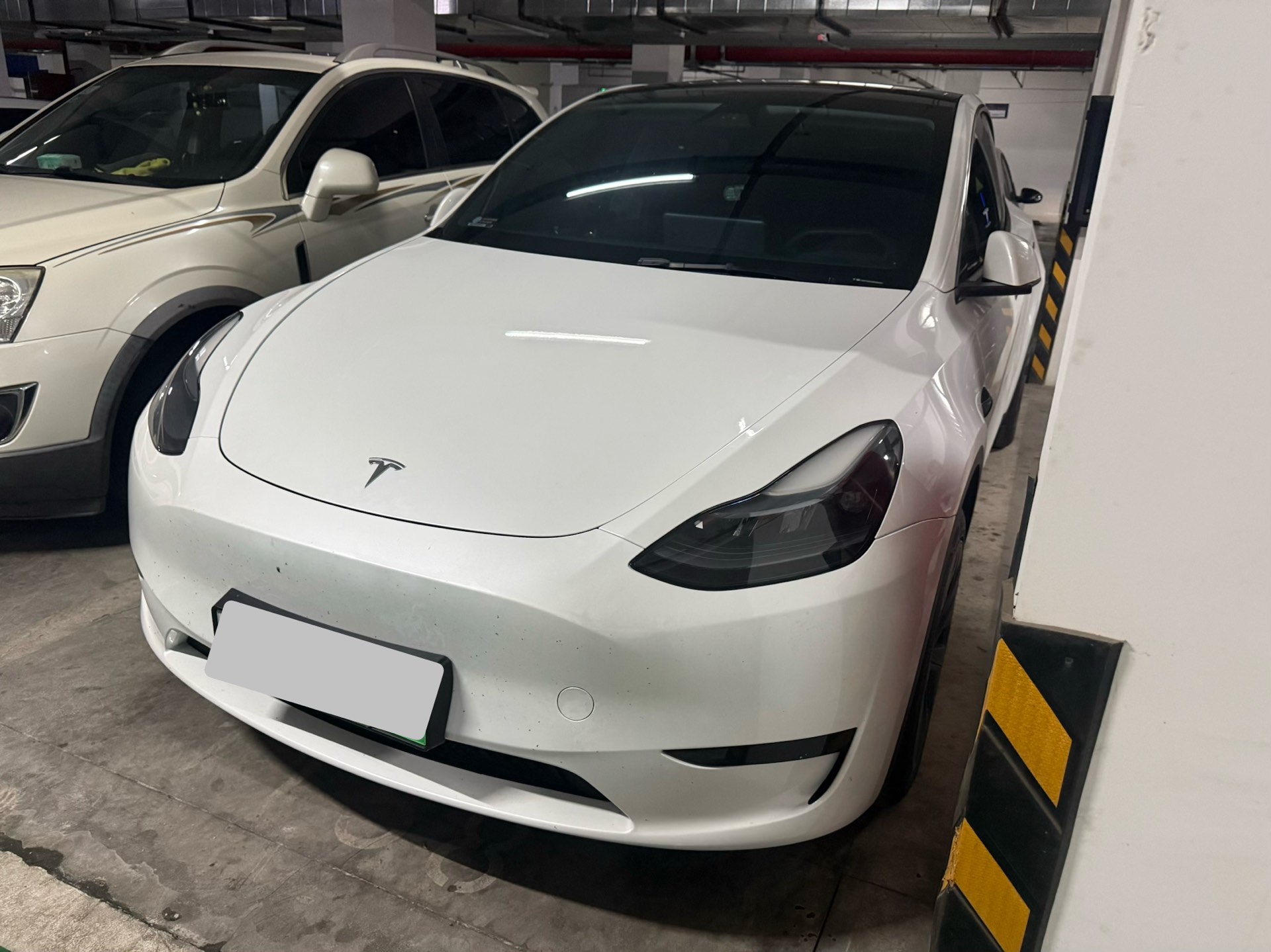 Tesla Model Y 2024 car image 