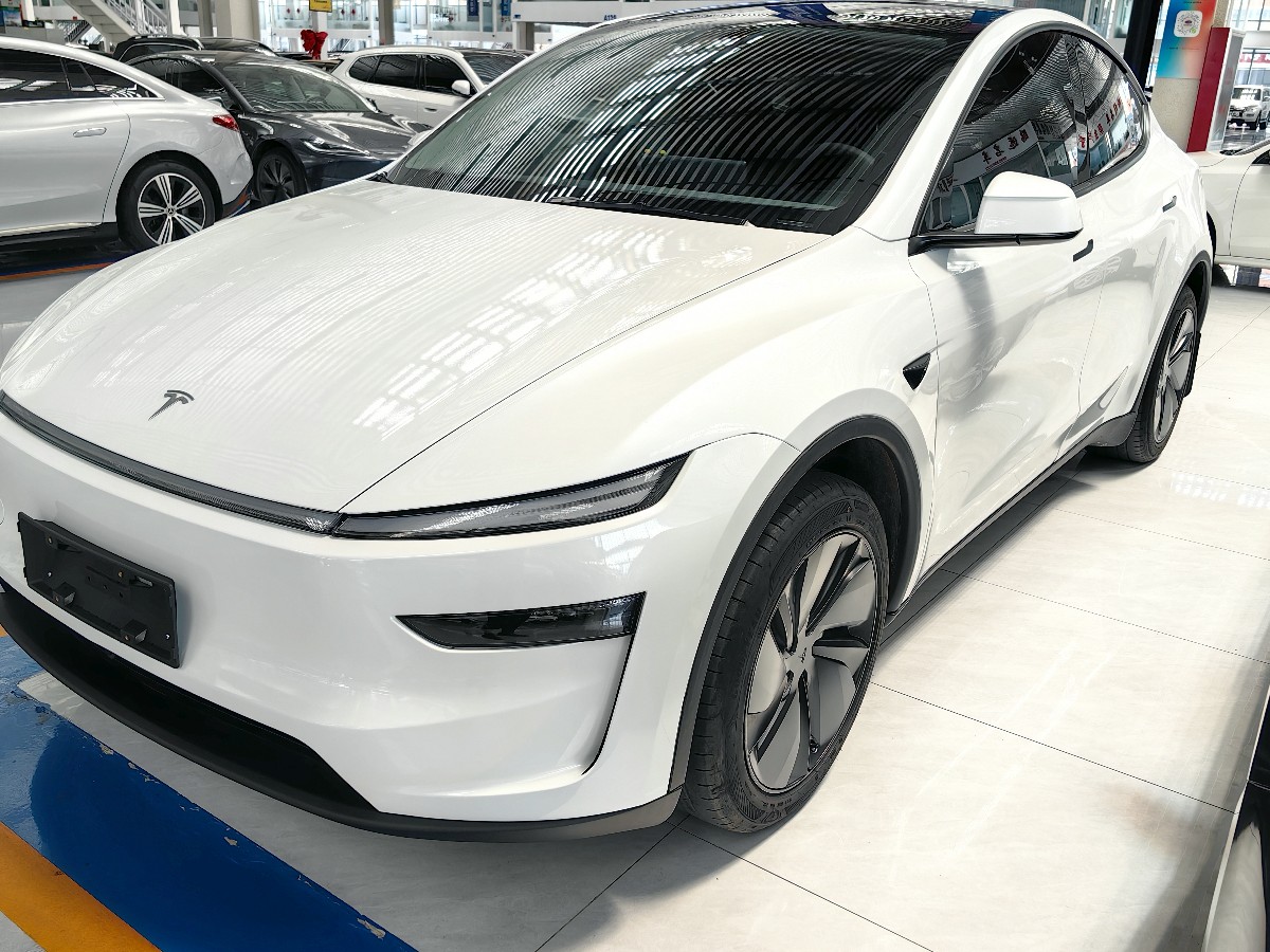 Tesla Model Y 2025 car image 
