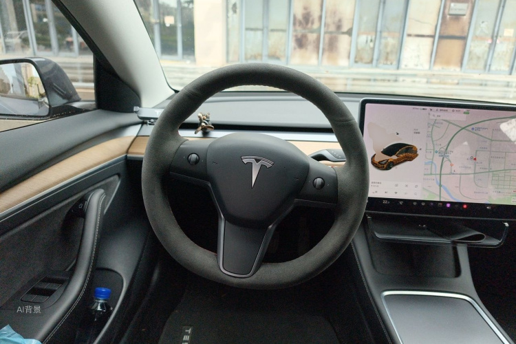 Tesla Model 3 2021 car image #12