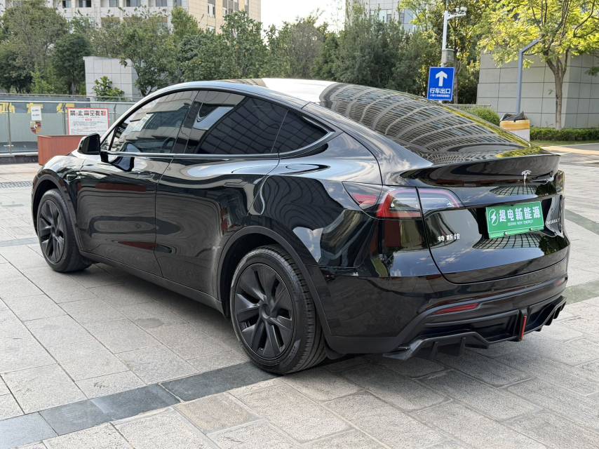 Tesla Model Y 2023 car image #13