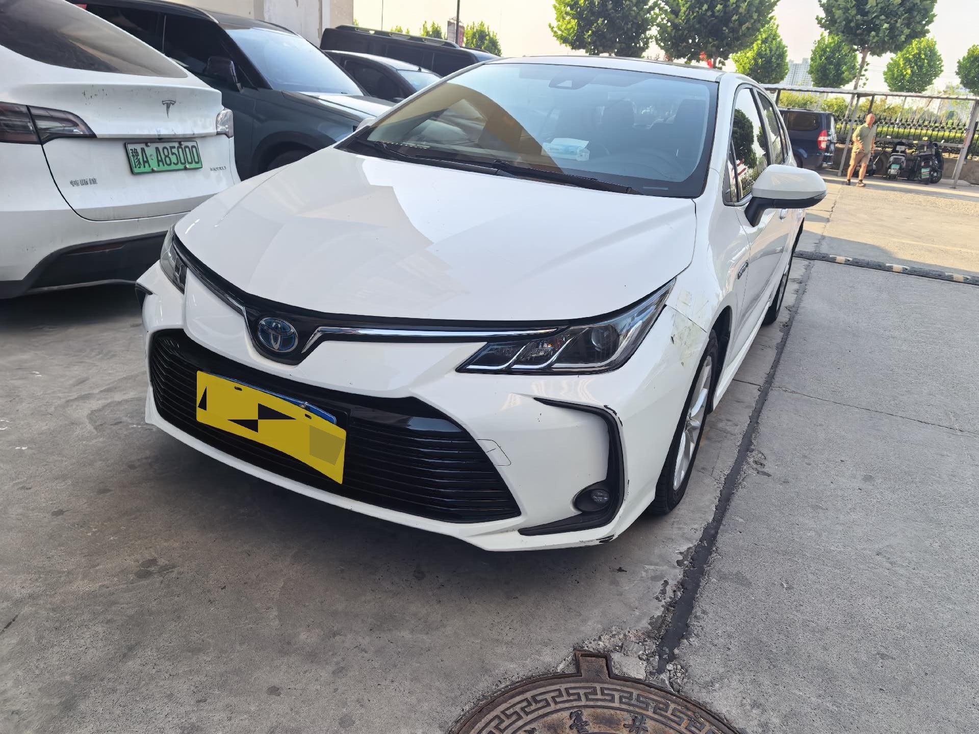 Toyota Corolla 2019 Toyota Corolla 2019 car image
