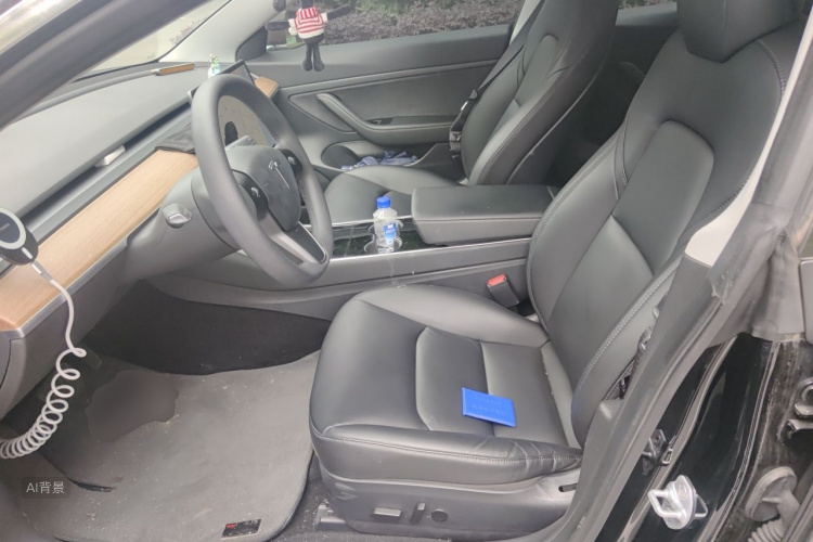 Tesla Model 3 2020 صورة سيارة #17
