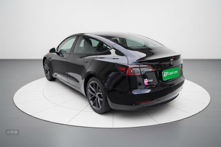 Tesla Model 3 2021 #5 Tesla Model 3 2021 car image #5