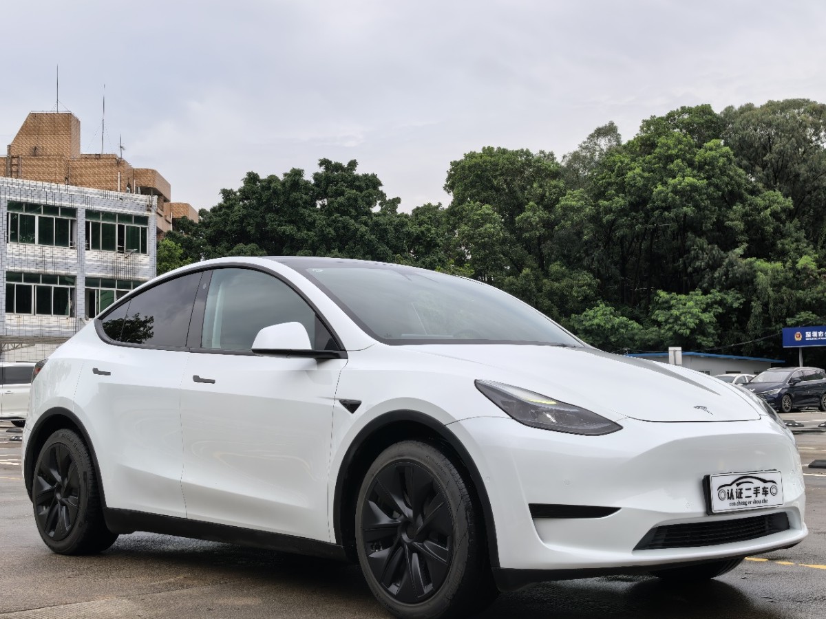 Tesla Model Y 2023 #3 Tesla Model Y 2023 car image #3