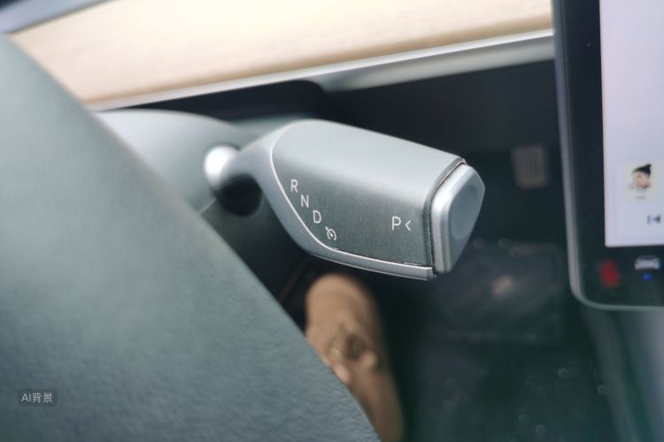 Tesla Model 3 2020 car image #16