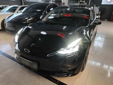 Tesla Model 3 2023 Tesla Model 3 2023 car image