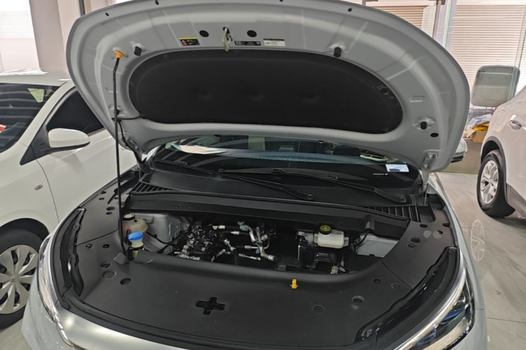 BYD Yuan Plus 2023 car image #22