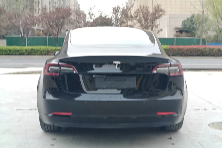 Tesla Model 3 2020 #3 Tesla Model 3 2020 immagine di auto #3