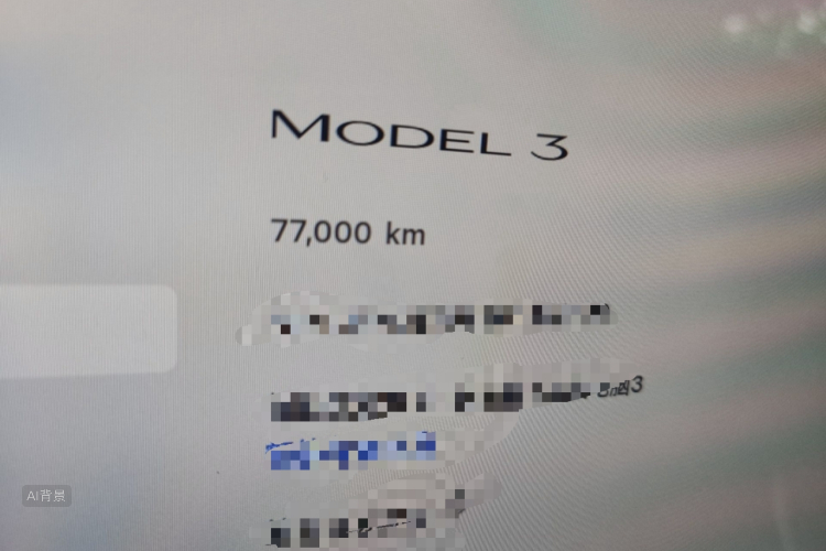 Tesla Model 3 2023 immagine di auto #14