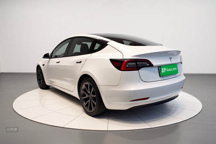 Tesla Model 3 2022 car image #5