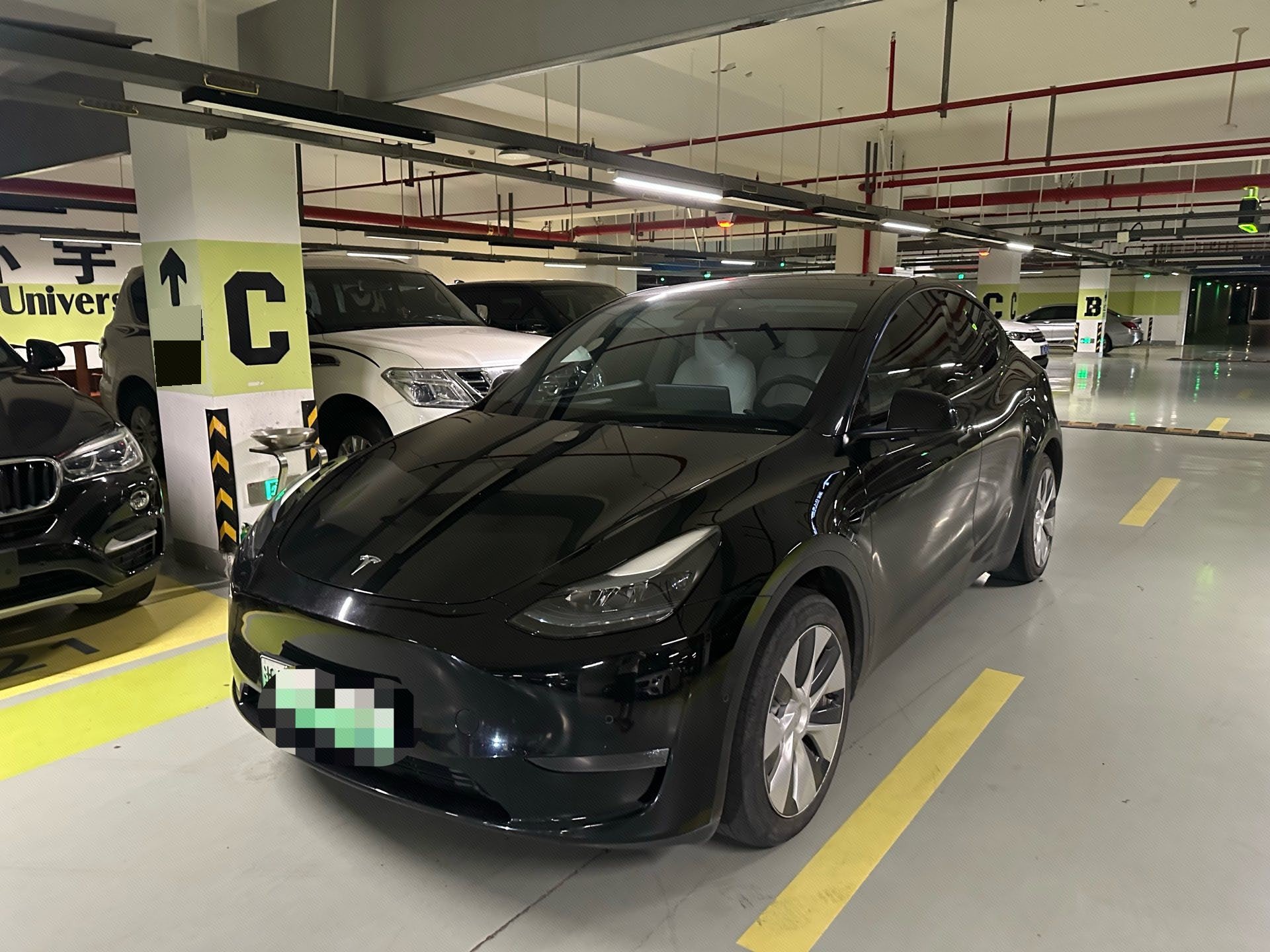 Tesla Model Y 2023 car image 