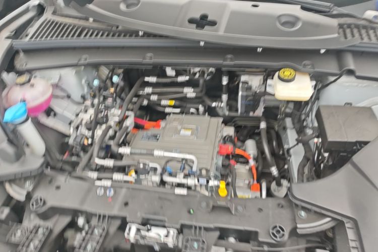 BYD YuanUP 2025 #20 BYD YuanUP 2025 immagine di auto #20
