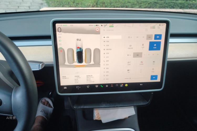 Tesla Model Y 2023 #15 Tesla Model Y 2023 car image #15