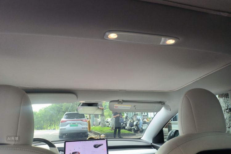 Tesla Model 3 2020 car image #20