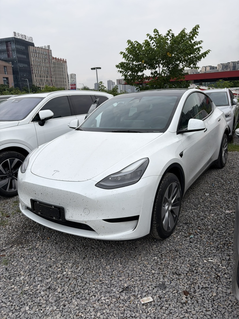 Tesla Model Y 2022 car image 