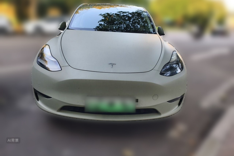 Tesla Model Y 2021 #3 Tesla Model Y 2021 car image #3