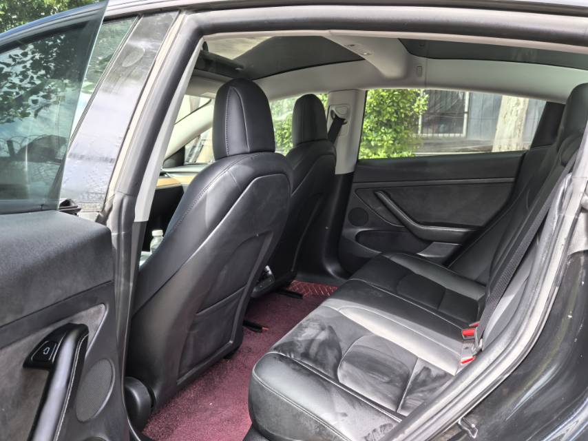 Tesla Model 3 2021 #6 Tesla Model 3 2021 car image #6
