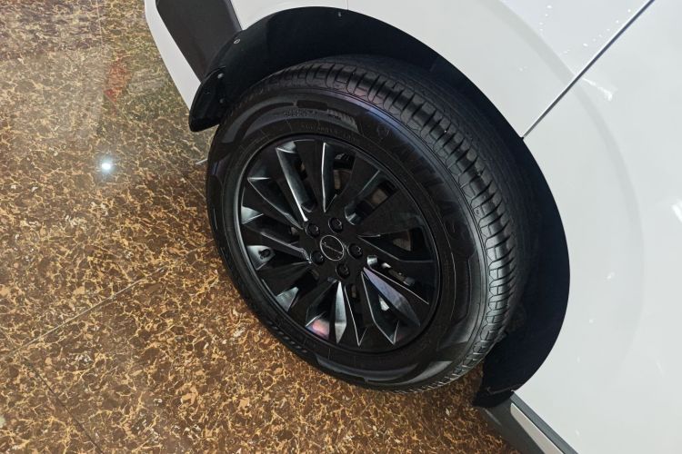 Forthing T5 EVO 2024 immagine di auto #10