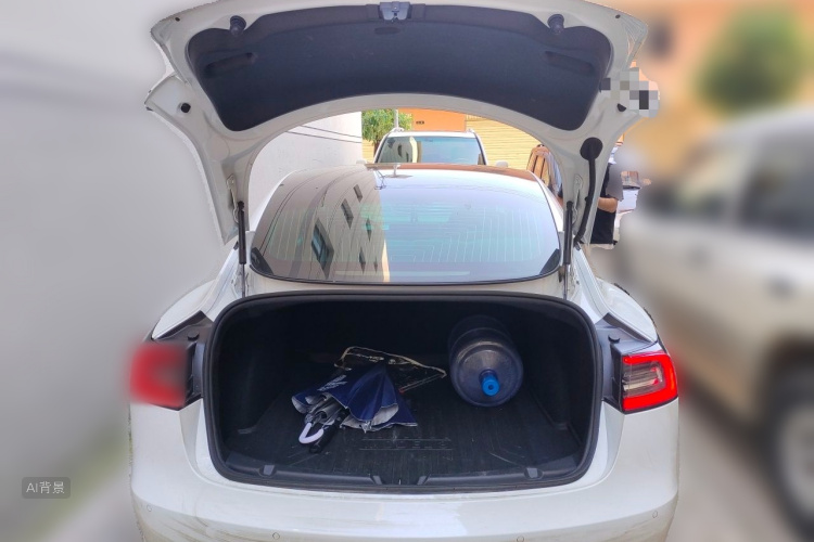 Tesla Model 3 2020 car image #21