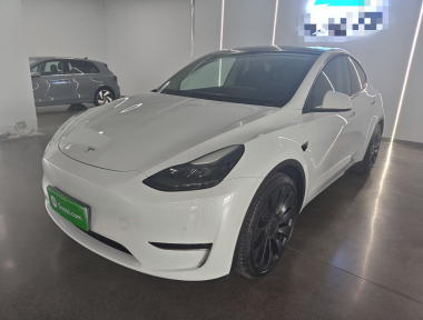 Tesla Model Y 2022 Tesla Model Y 2022 car image